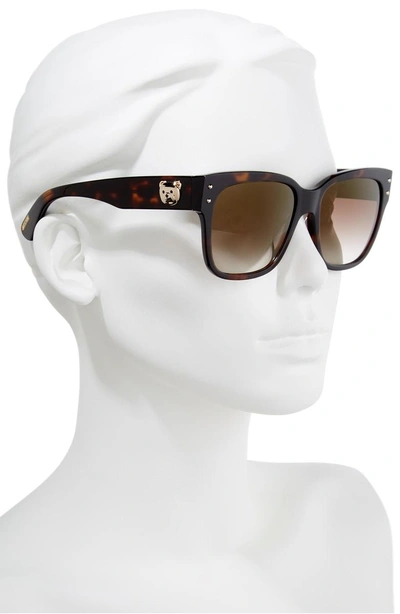 Shop Moschino 56mm Gradient Lens Sunglasses - Dark Havana