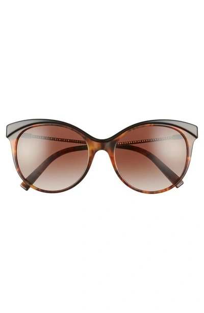 Shop Tiffany & Co Diamond Point 55mm Gradient Cat Eye Sunglasses - Black Havana Gradient
