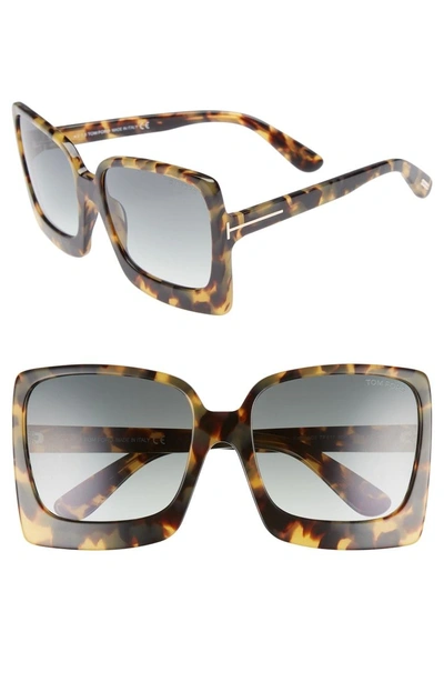 Shop Tom Ford Katrine 60mm Sunglasses - Havana/ Gradient Green