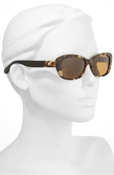 Shop Kate Spade Claretta 53mm Polarized Sunglasses - Havana/ Black