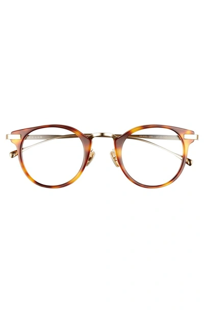 Shop Derek Lam 47mm Optical Glasses - Tortoise