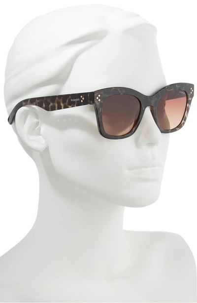 Shop Polaroid Core 51mm Polarized Sunglasses - Grey/ Havana