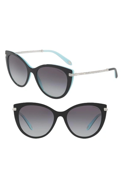 Shop Tiffany & Co 55mm Gradient Cat Eye Sunglasses In Black/ Blue Gradient
