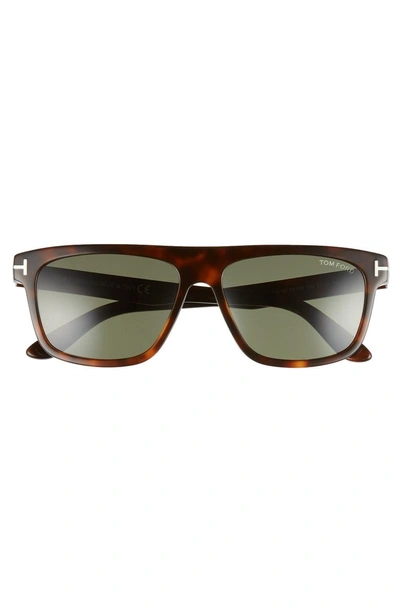 Cecilio blue block deals optical