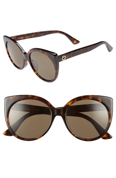 Shop Gucci 57mm Cat Eye Sunglasses - Dark Havana