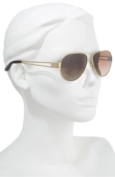 Shop Tory Burch 55mm Polarized Aviator Sunglasses In Gold/ Dark Tortoise Gradient