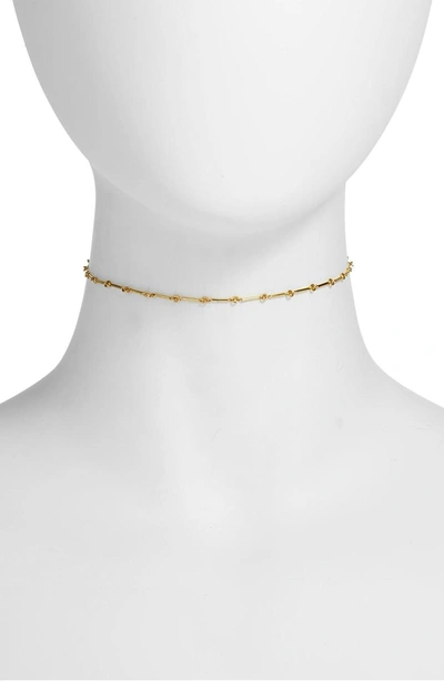 Shop Five And Two Maria Choker Necklace In Gold