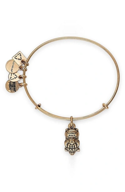 Shop Alex And Ani Charity By Design Owl Charm Bracelet In Gold