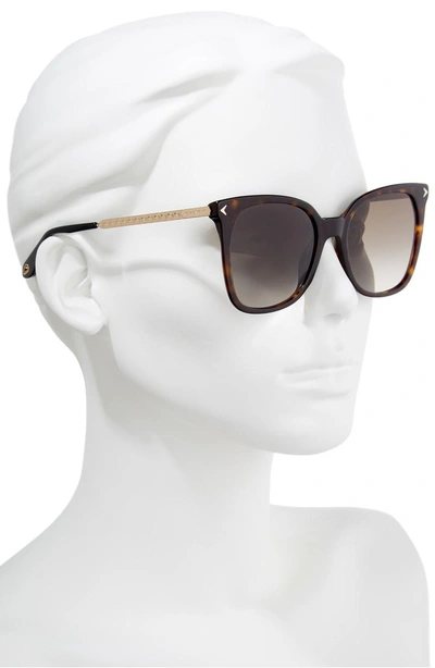Shop Givenchy 54mm Square Sunglasses - Dark Havana