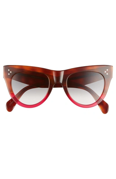 Shop Celine 51mm Cat Eye Sunglasses - Havana/ Fuschia/ Smoke