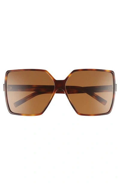 Shop Saint Laurent Betty 63mm Sunglasses In Medium Havana