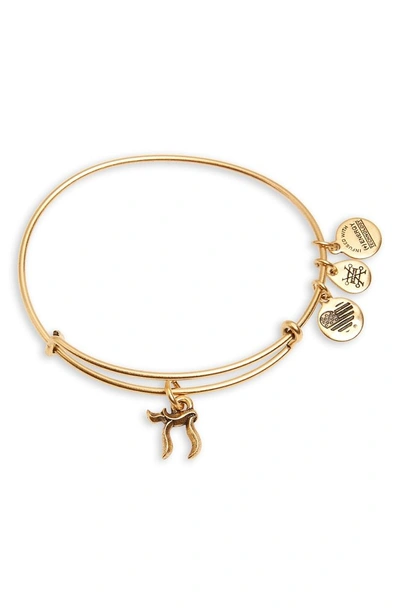 Shop Alex And Ani Chai Charm Bracelet In Gold