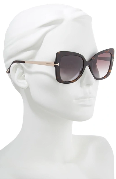 Shop Tom Ford Gianna 54mm Sunglasses In Dark Havana/ Gradient Bordeaux