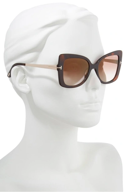 Shop Tom Ford Gianna 54mm Sunglasses - Dark Havana/ Brown Mirror