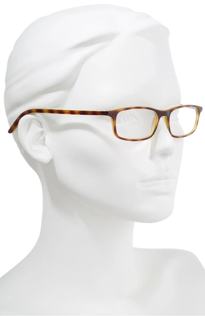 Shop Kate Spade Jodie 50mm Reading Glasses - Havana Green