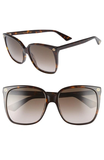 Shop Gucci 57mm Square Sunglasses - Havana/ Brown