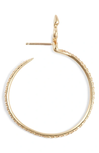 Shop Nora Kogan Sones Snape Hoop Earrings In Yellow Gold