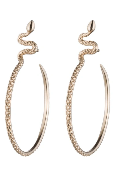 Shop Nora Kogan Sones Snape Hoop Earrings In Yellow Gold