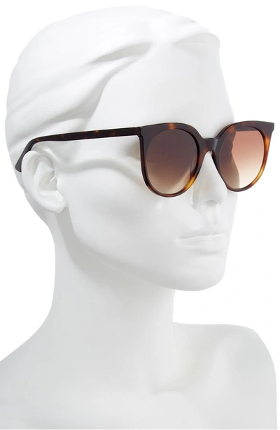 Shop Mcq By Alexander Mcqueen 52mm Cat Eye Sunglasses In Havana