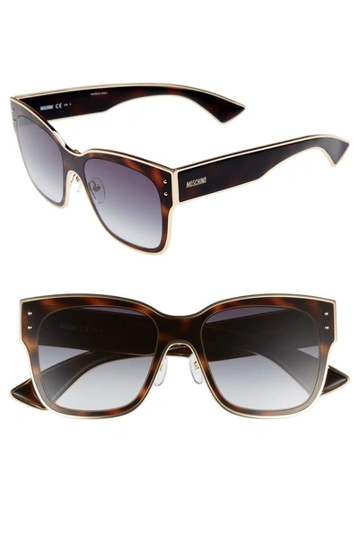 Shop Moschino 55mm Cat Eye Sunglasses In Dark Havana