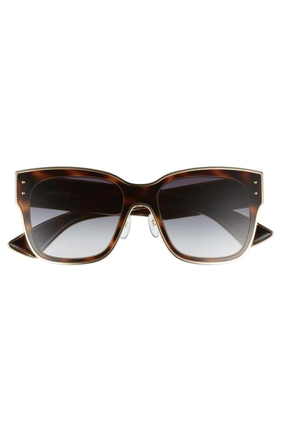 Shop Moschino 55mm Cat Eye Sunglasses In Dark Havana