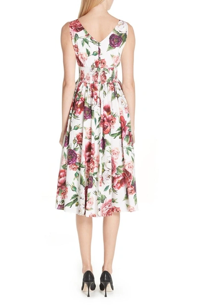 Shop Dolce & Gabbana Peony Print Cotton Dress In Peonie