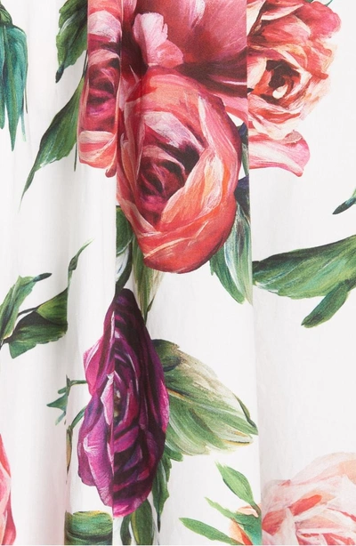 Shop Dolce & Gabbana Peony Print Cotton Dress In Peonie