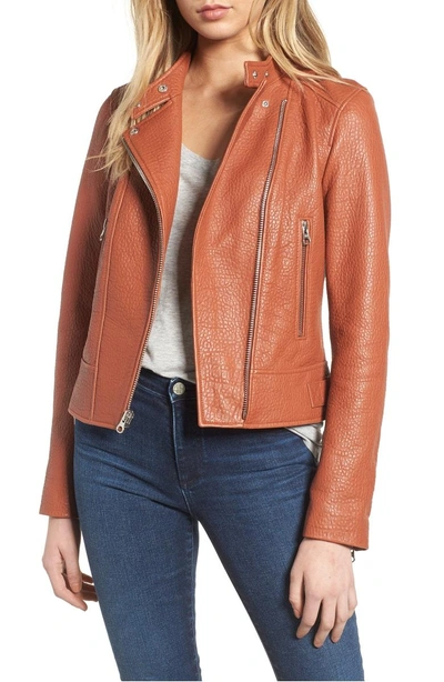 Derek lam 10 shop crosby leather moto jacket