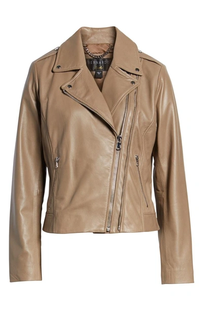 Shop Bernardo Double Zip Leather Jacket In Bark