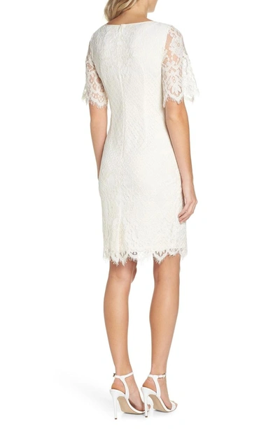 Shop Adrianna Papell Georgia Scalloped Lace Sheath Dress In Ivory
