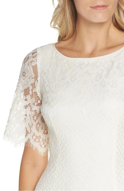 Shop Adrianna Papell Georgia Scalloped Lace Sheath Dress In Ivory