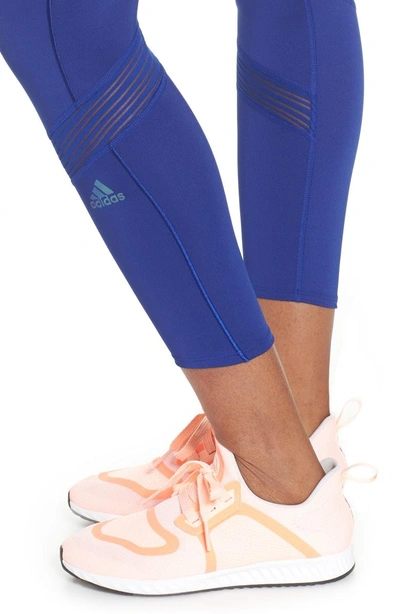 Shop Adidas Originals How We Do Tights In Mystery Ink