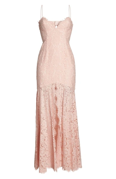 Shop Fame And Partners Babe Lace Gown In Pale Pink