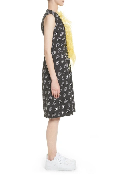 Shop Ashley Williams Bunny Sheath Dress With Ostrich Feather Trim In Black Daisy