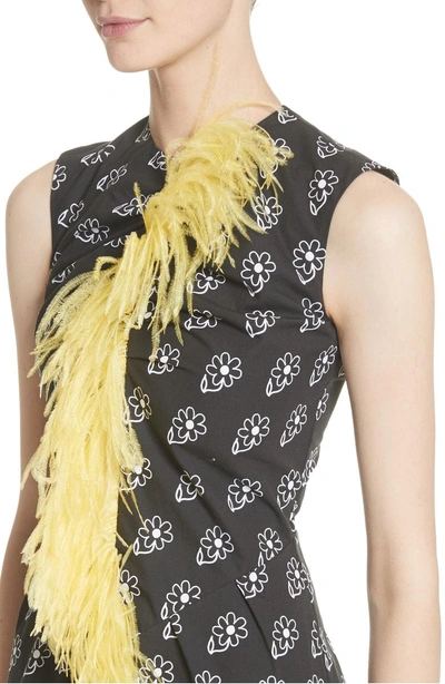 Shop Ashley Williams Bunny Sheath Dress With Ostrich Feather Trim In Black Daisy