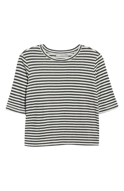 Shop Vince Stripe Crop Tee In Natural/ Iron