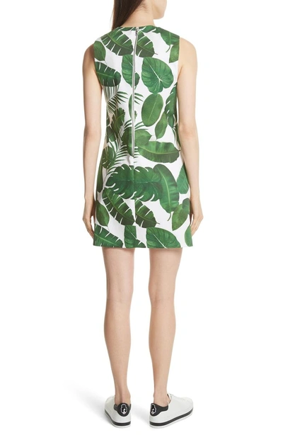 Shop Alice And Olivia Coley Print A-line Dress In Tropical Leaves