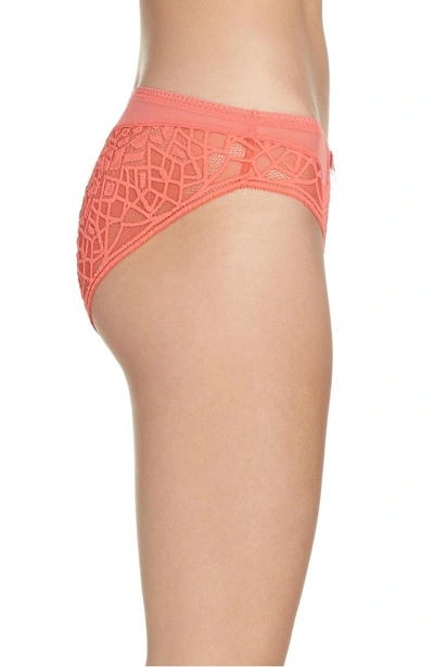 Shop Freya Soiree Lace Briefs In Coral