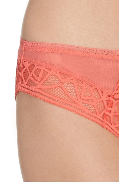 Shop Freya Soiree Lace Briefs In Coral