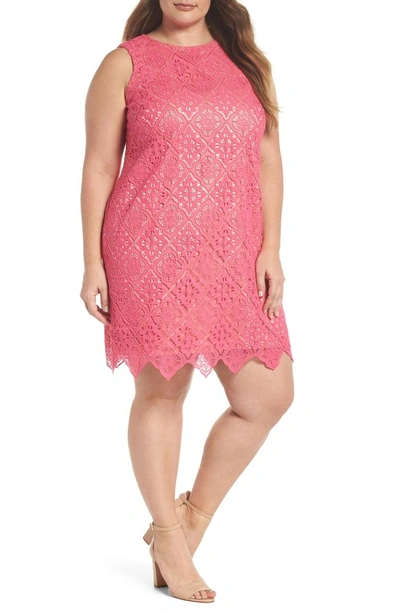 Shop Eliza J Lace Sleeveless Shift Dress In Hot Pink