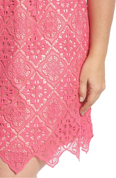 Shop Eliza J Lace Sleeveless Shift Dress In Hot Pink