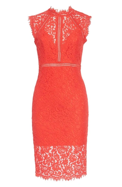 Shop Bardot Lace Sheath Dress In Red