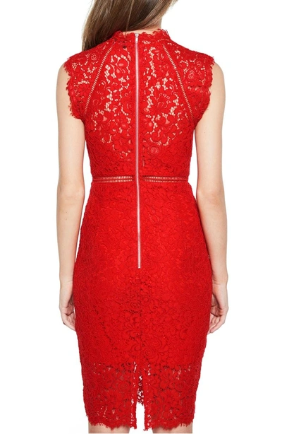 Shop Bardot Lace Sheath Dress In Red