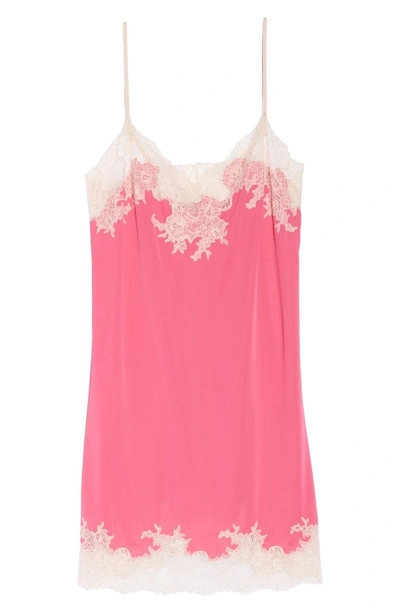 Shop Natori 'enchant' Chemise In Hibiscus/ Cam Rose Lace