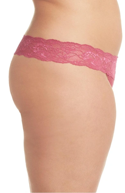 Shop Cosabella Never Say Never Cutie Thong In Plum Blossom