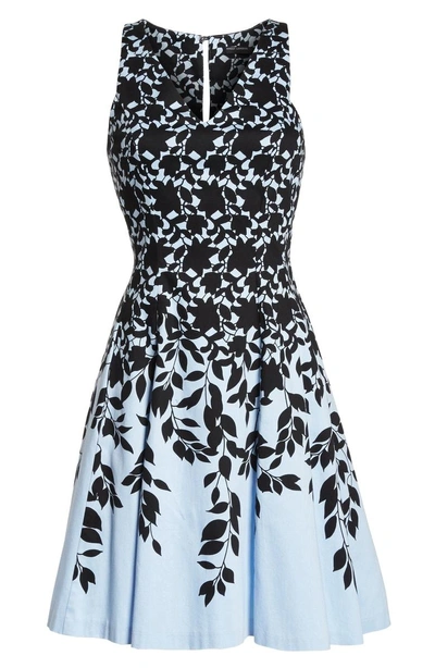 Shop Maggy London Print Fit & Flare Dress In Sky Blue/ Black
