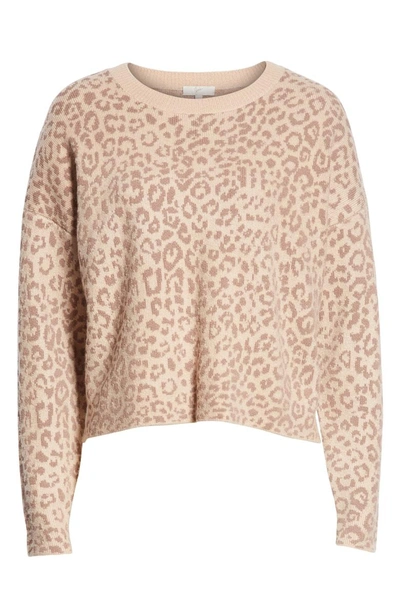 Shop Joie Leopard Print Sweater In Light Taupe
