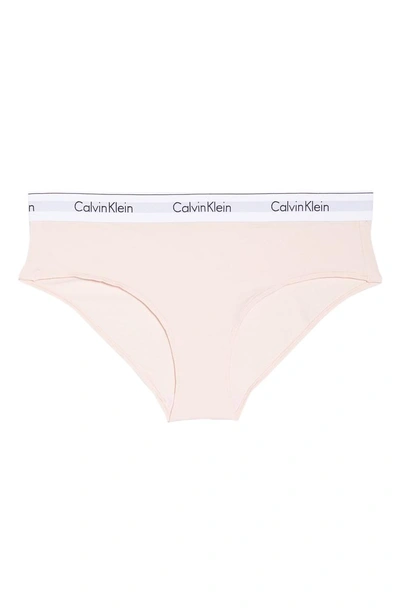 Shop Calvin Klein Modern Cotton Blend Hipster Briefs In Nymphs Thigh