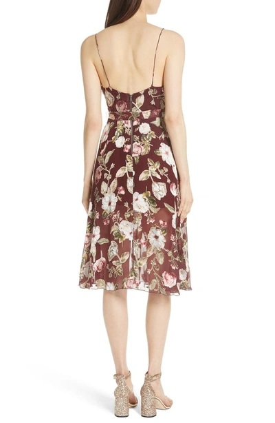 Shop Alice And Olivia Heather Cowl Neck Dress In Hazy Floral/ Wine