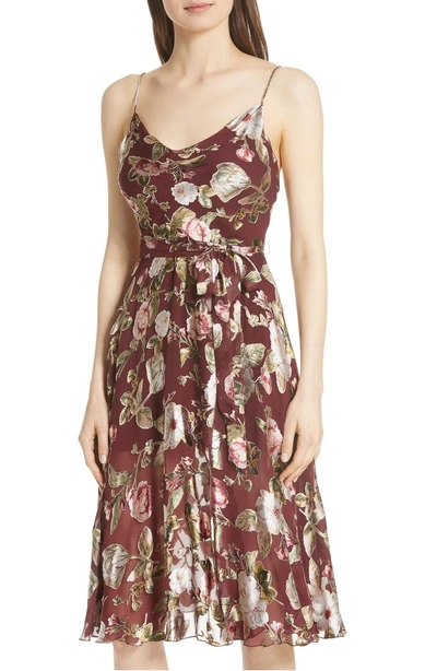 Shop Alice And Olivia Heather Cowl Neck Dress In Hazy Floral/ Wine